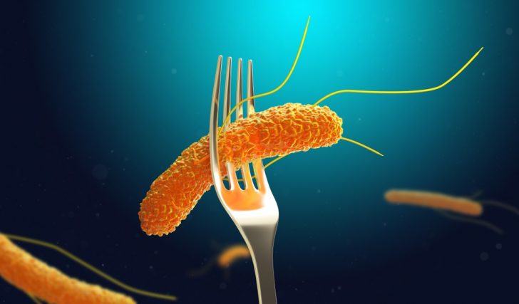 salmonella microscp[oc view fork