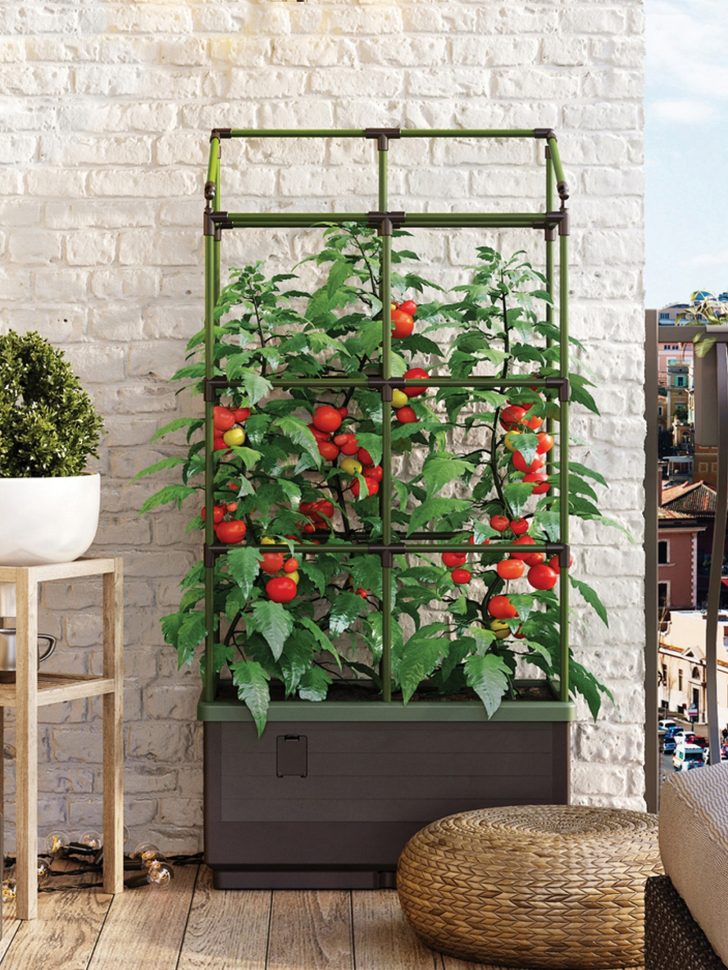 vertical garden
