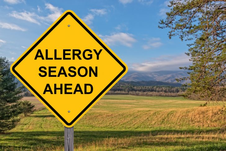 allergy season
