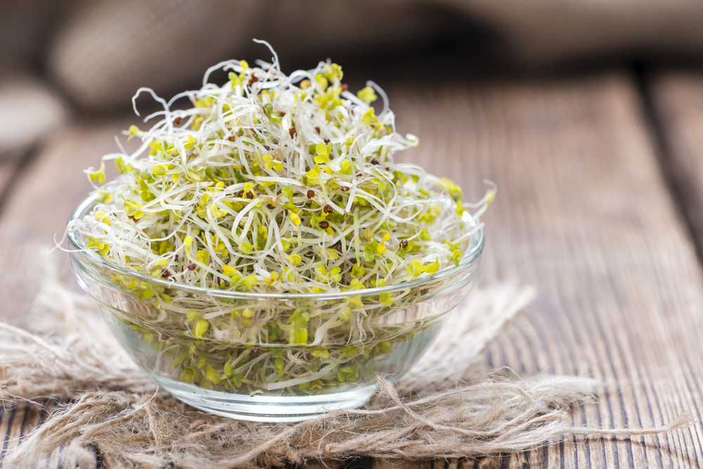 Eating Broccoli Sprouts During Pregnancy May Reduce the Child’s Chances