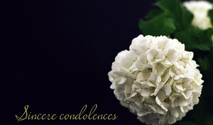 How to Send a Condolence Card - | - thirdAGE