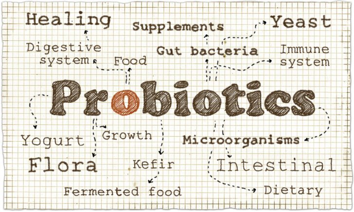 probiotics