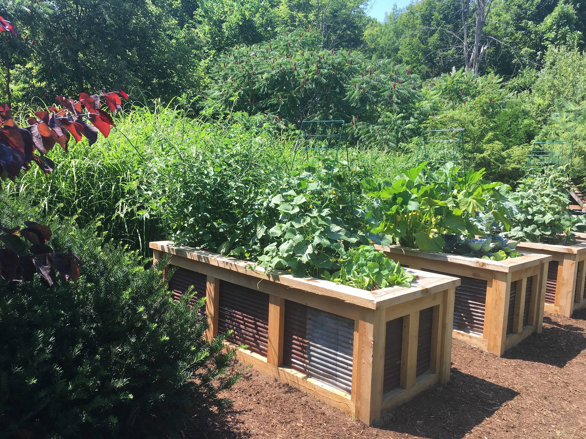 Raised Bed Gardening Provides Easy Access and Increased Productivity