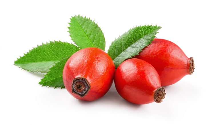 rosehip