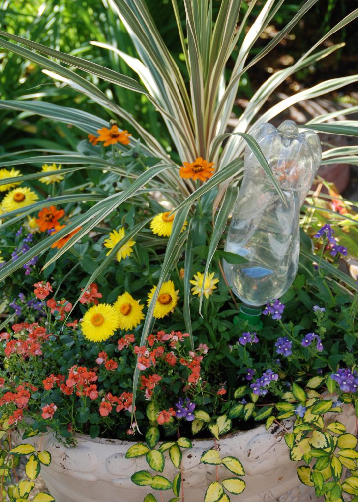 water bottle irrigation